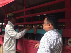 Mr. Troy, Eskportir Asal Amerika Berkunjung ke Desa Wisata Sidomulyo