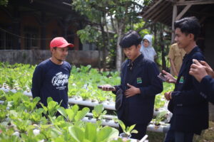 Berganti ke tanaman Sawi dan Marakot, Mas Kades akan Perluas Titik Hidroponik untuk Ketahan Pangan