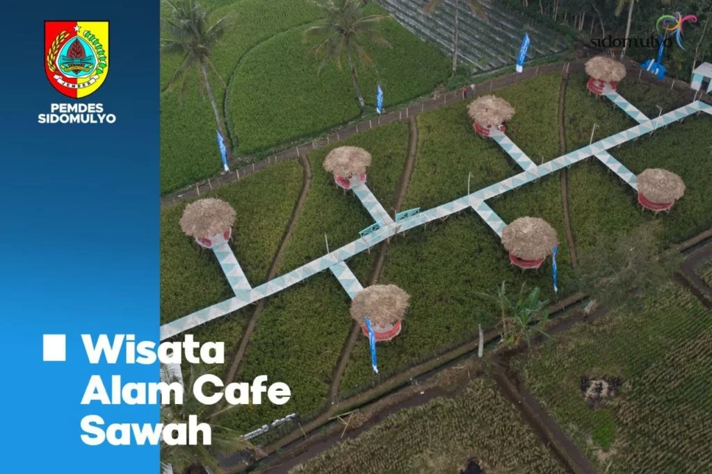 wisata cafe sawah
