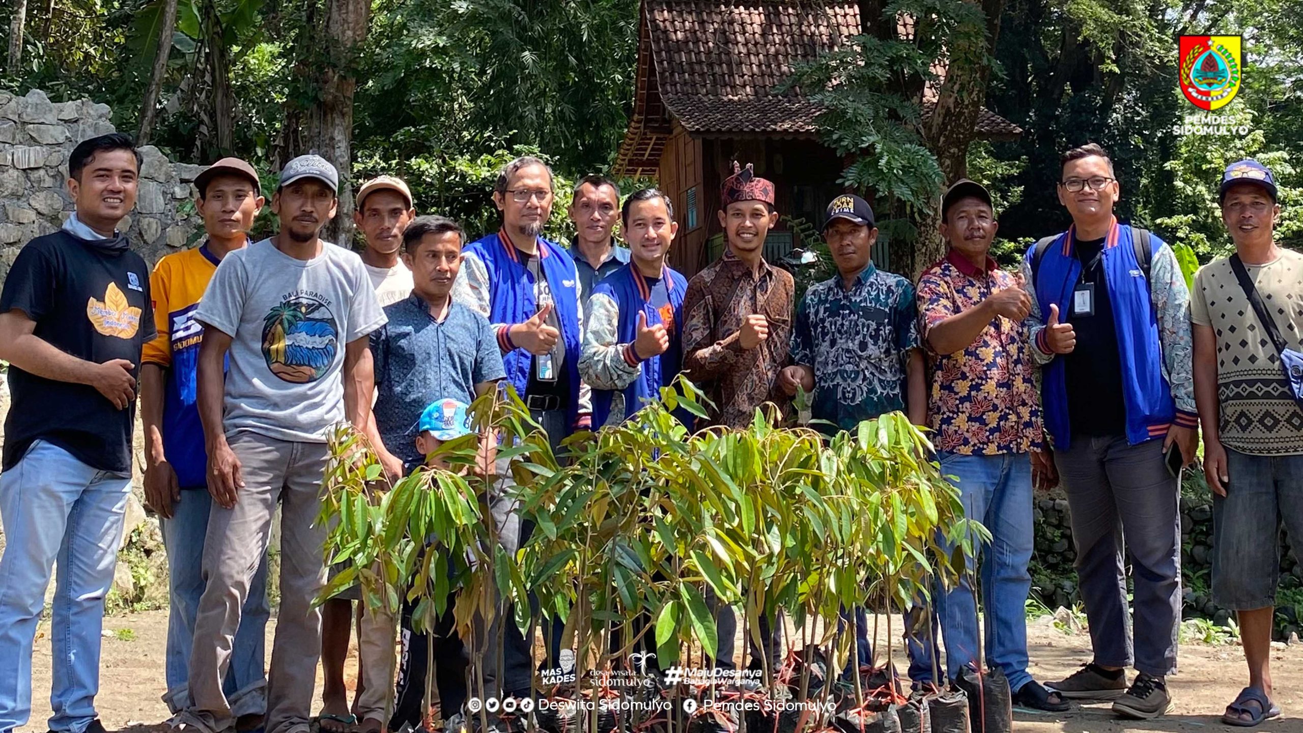 Program BRI Menanam: Desa Sidomulyo Kembali Terima Bibit Durian sebagai Wujud Kepedulian Lingkungan